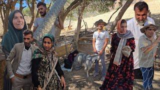 Nomadic Life: Fencing the Nomadic Garden | Nomadic Couple-Style Livestock