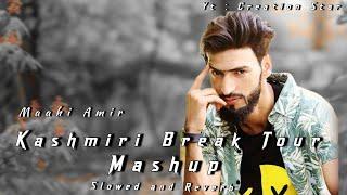 Best Songs of Maahi Aamir || Slowed and Reverb songs...... ️