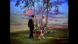 Son of Lassie - The first meeting between June Lockhart and Lassie!