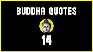 14  Anger Buddha Quotes in English  #Shorts
