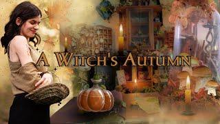 13 Magical things to do this Autumn  Simple ideas ️ DIYs  Altar | Potions | Bakes 