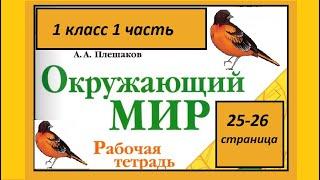 Окружающий мир 1 класс Кто такие птицы? страница 25-26.