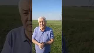 Амиржан Косанов