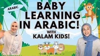 Arabic Baby Learning - First Words, Songs and Nursery Rhymes for Babies - Toddler Videos