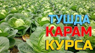 Тушда Карам курса - Tushda Karam ko'rsa