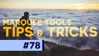 Tips & Tricks of the Marquee Tools in Photoshop CC - #PSin30