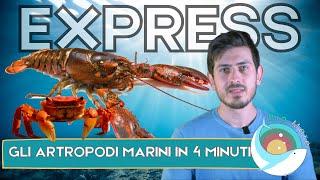 CROSTACEI E ALTRI ARTROPODI MARINI IN 4 MINUTI - BIOMARE EXPRESS - SUB H2O