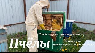 Улей на узковысокую рамку Beehive on a narrow frame Расширение пасики, с одного до двенадцати ульев.