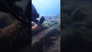 Озеро Тургояк. Водоросля в нейтральной плавучести #aksenovscubadiving #scubadiving #дайвинг
