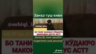 бо бадани чанобат кудакро Шир додани зан дуруст аст ё не