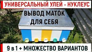 Универсальный УЛЕЙ - НУКЛЕУС. 9 в 1. Вывод маток и зимовка запасных...