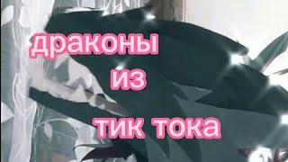 подборка драконов из тик тока ( 1 часть, не мои ) #можноактив #дайтеактив #драконы #тикток