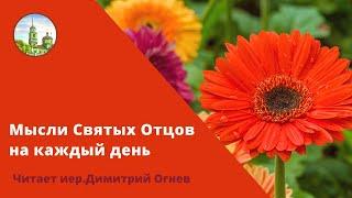 Мысли Святых Отцов