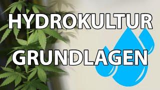 Hydrokultur Grundlagen - XXL Ertrag durch Hydro?!