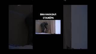 ВИА НАКАЗАЛ СТАЖЁРА!!!