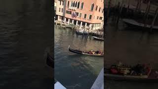 venezia