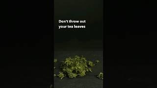 Don’t throw out your tea leaves! Here’s why  #tealeaves