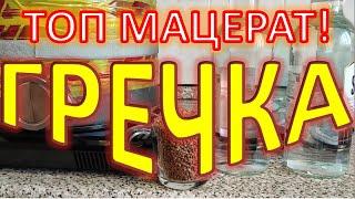 гречка-мацерат|самогон|самогоноварение|азбука винокура