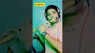 Krrish Flute Theme | Soulful Bansuri Cover by Flute Hardik | Bollywood Instrumental Music