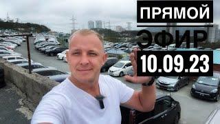 Прямой эфир 10.09.23 #автоэксперт #подборавто #помощьприпокупке #shortvideo #shorts #автоизяпонии