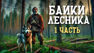 БАЙКИ ЛЕСНИКА [1ЧАСТЬ]: Таёжная История | Истории из Тайги | Аудиокнига