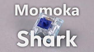 Momoka Shark Review