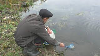 Карпы в бесхозном пруду: секретный эксперимент, 23 серия