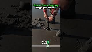 Wage per Hour as a professional Clam digger #shorts