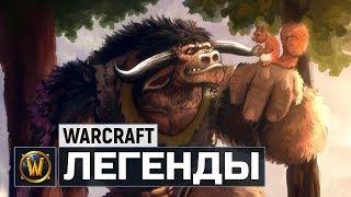 Легендарные персонажи в World of Warcraft | Выпуск #1