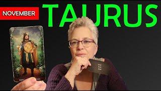 Persistence Pay Off, Some Kind of Deal Taurus November 15, 2024 Full Moon Reading