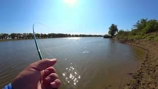 ТАКОГО УЛОВА Я НЕ ОЖИДАЛ! ЧУТЬ НЕ ПОРВАЛ ШНУР!!! ЛОВЛЯ СУДАКА !!Fishing Stories #2