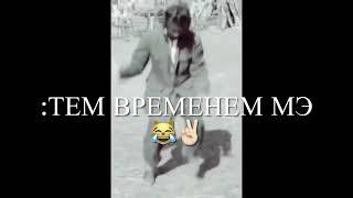 Цыганские приколы