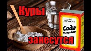 Одна из главных причин почему не несутся куры!! Простой рецепт чтобы восстановить яйценоскость!