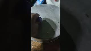 my mold
