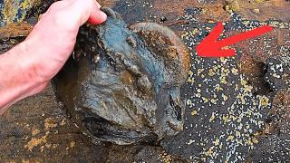 You Won't Believe What I Found In This Heavy Rock!