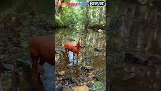 Hiking With My Breyer Horse  Paddock Pals Hazel | I bought at FiveBelow