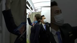 Unveiling the Vital Role of Flight Attendants in the Airline Industry| #shorts #pilot