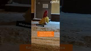 Наслаждаться новогодней атмосферой или выживать?