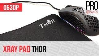 Обзор ковра XrayPad Thor. Зачетно!