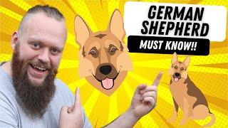 3 THINGS TO KNOW BEFORE GETTING A GERMAN SHEPHERD