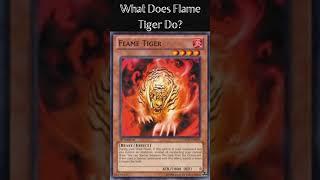 What Does Flame Tiger Do? (Yugioh Cards Explained for Easy Deck Building)
