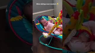 Siblings Meet Newborn Gone Wrong  #baby #newborn #Siblings #funnybaby #funnykids #funnytoddler