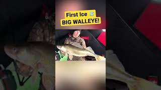Early Ice Madness! #shorts #walleye #icefishing