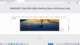 Angular 11 Quill Editor Working Demo