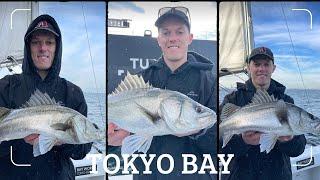 A Solo Fishing Charter in Japan | Sea Bass in Tokyo