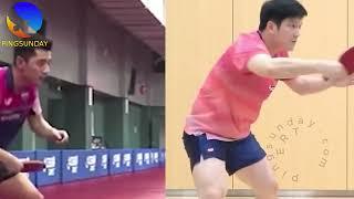Who has the best backhand topspin in table tennis?