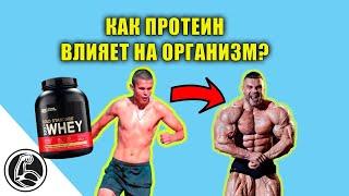 ПРОТЕИН - ЧТО ЭТО? КАКОЙ РЕАЛЬНЫЙ ЭФФЕКТ ПОСЛЕ ПРИЁМА?