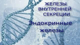 Железы внутренней секреции. Гормоны. эндокринные заболевания.