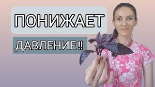 Понизить давление | гипертония | бессонница