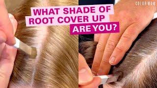 Color Wow's Root Cover Up - Award-Winning Powder For Full Root Coverage